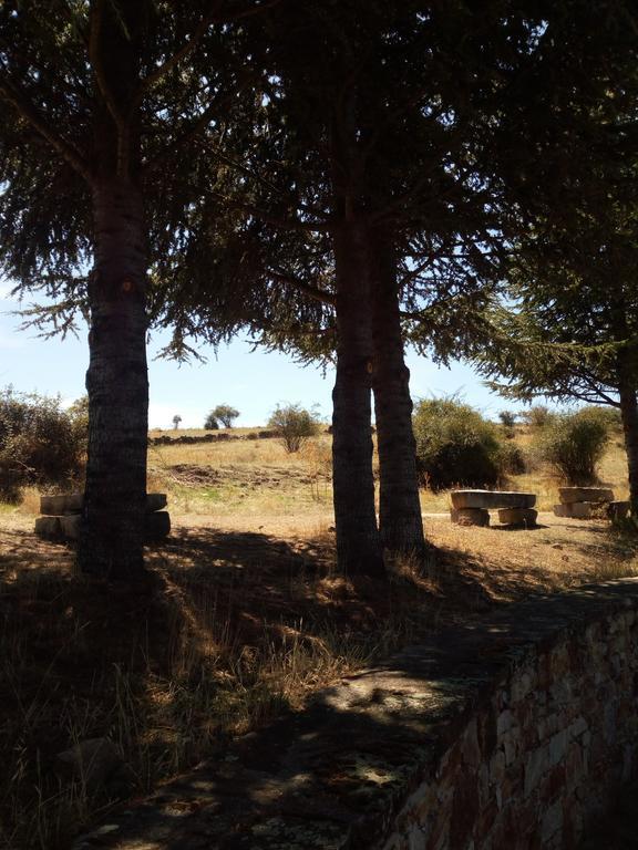 Maison d'hôtes El Egio à Cervera de Buitrago Extérieur photo